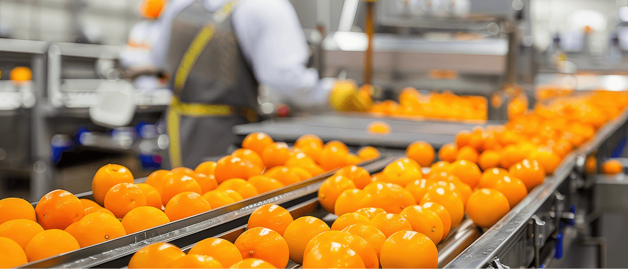 Transforming an Industrial Food Processing Equipment Manufacturer into a Category Leader