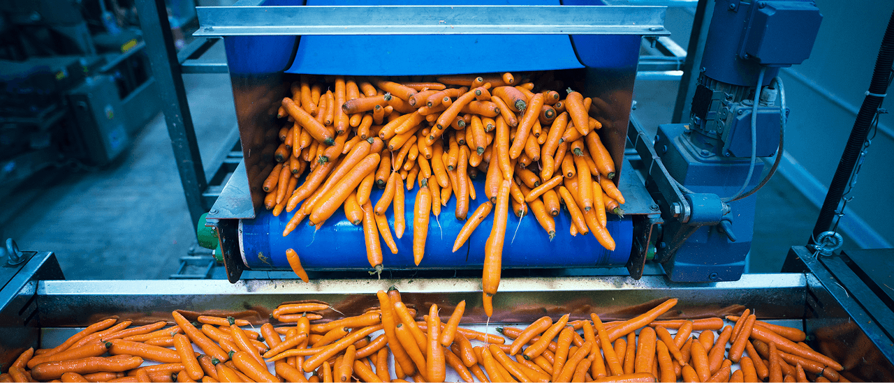 312% Boost in Food Industry Leads" using technical SEO and video marketing.