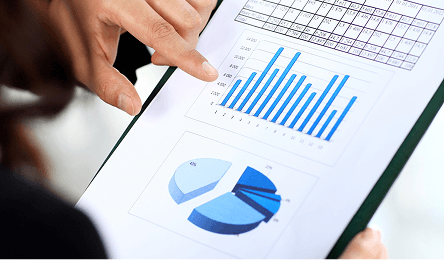 Reporting & Growth Scaling